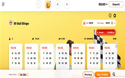 The 30 Ball Bingo at an Indian Online Bingo Site