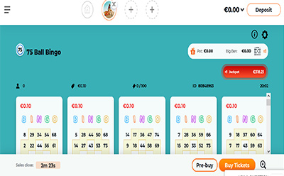 The 75 Ball Bingo at an Indian Online Bingo Site